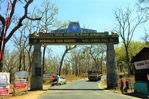 Mudumalai Tiger Reserve
